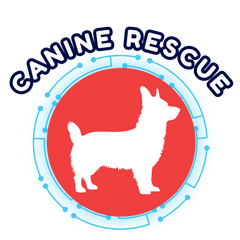CANINE RESCUE